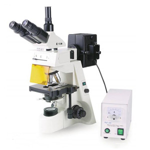 5901984 Trinocular fluorescence microscope 