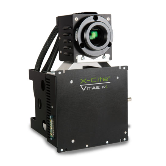Vitae wL